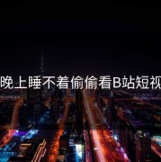 晚上睡不着偷偷看B站短视