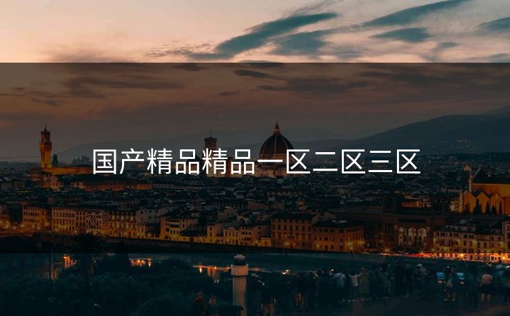 国产精品精品一区二区三区 国产精品精品一区二区三区