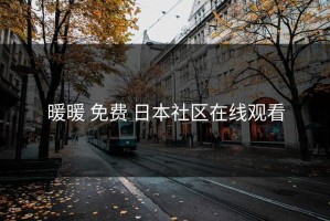 暖暖 免费 日本社区在线观看