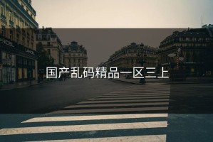 国产乱码精品一区三上