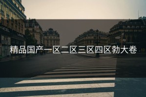 精品国产一区二区三区四区勃大卷