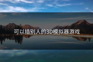 可以插别人的3D模拟器游戏