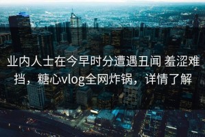 业内人士在今早时分遭遇丑闻 羞涩难挡，糖心vlog全网炸锅，详情了解
